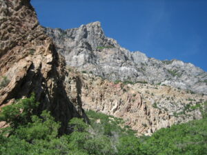 IMG 0172