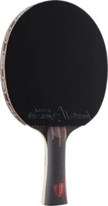 Top Table Tennis Paddles : Best for Power, Spin & Control 5 Joola Infinity Overdrive Table Tennis Paddle