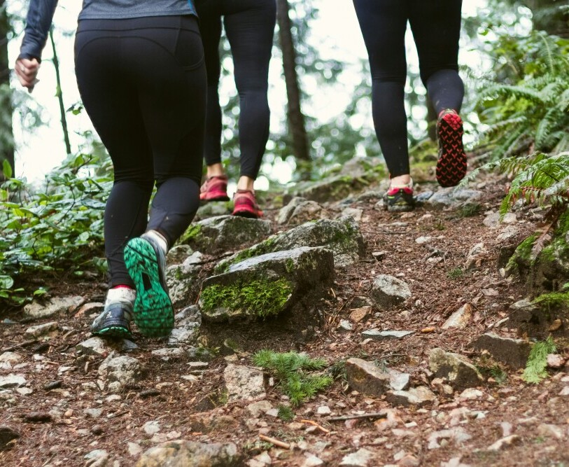Trail Running and Hiking Shoes 1 Hiking Trail Walking