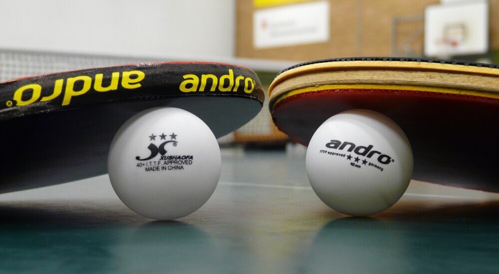 Best Table Tennis Gear Guide (2026): Shoes, Paddles & Buying Tips 5 Best Table Tennis Gear Guide